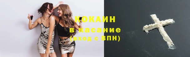 крисы Алзамай