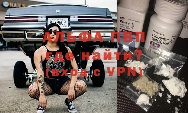 гашик Аркадак