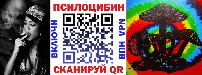 kraken ССЫЛКА  как найти   Ленинск-Кузнецкий  Псилоцибиновые грибы Magic Shrooms 